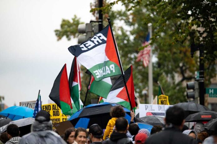 Washington,,Dc,-,10-14-2023:,Free,Palestine,Flag,At,Palestine,Protest