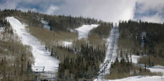 Skiers on snowy mountain with chairlifts and trees