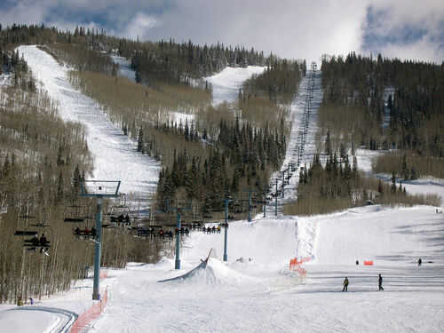 Skiers on snowy mountain with chairlifts and trees