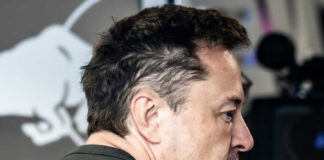 elon