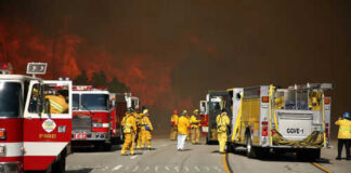 Firefighters battling large wildfire with fire trucks present