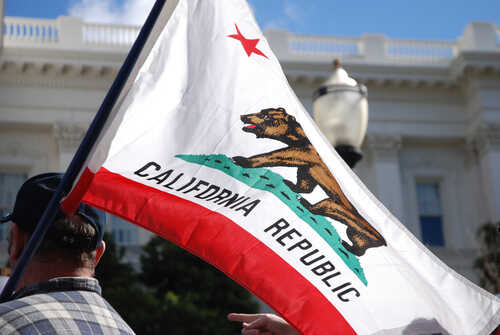 Sacramento,,California,,Usa,-,February,26,,2011:,Labor,Union,Supporter California state flag being held up at an outdoor event