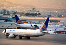 Airplanes parked at airport terminal with United branding