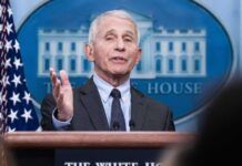 ‘Self-obsessed’: COVID pandemic diary entries expose Anthony Fauci's fixation on fame