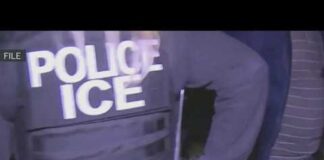 1,328 people arrested by ICE in Maryland and Virginia over 2 weeks, DHS says | NBC4 Washington