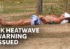 UK heatwave to return next week as wildfire risk climbs