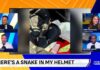 Football Player Finds Snake In His Helmet - Morning Addition