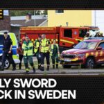 Sword Attack in Sweden Killed One Person | WION Pulse