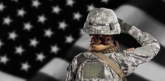 Soldier in camouflage saluting before a U.S. flag