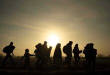 silhouettes of people walking at sunset