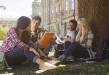 Group of college students studying under a tree on campus