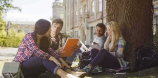 Group of college students studying under a tree on campus