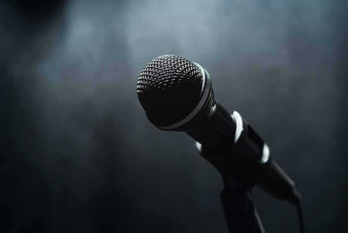 Microphone on a stand against a dark blurred background