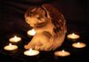 Massacre On Perry Street – Pregnant Mom, Kids Among Dead angel statue surrounded by lit candles