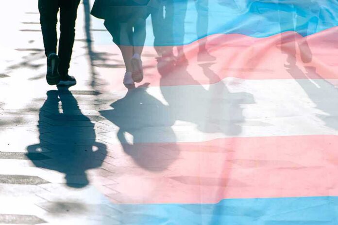 trans pride flag overlaying silhouettes of people walking on a city street